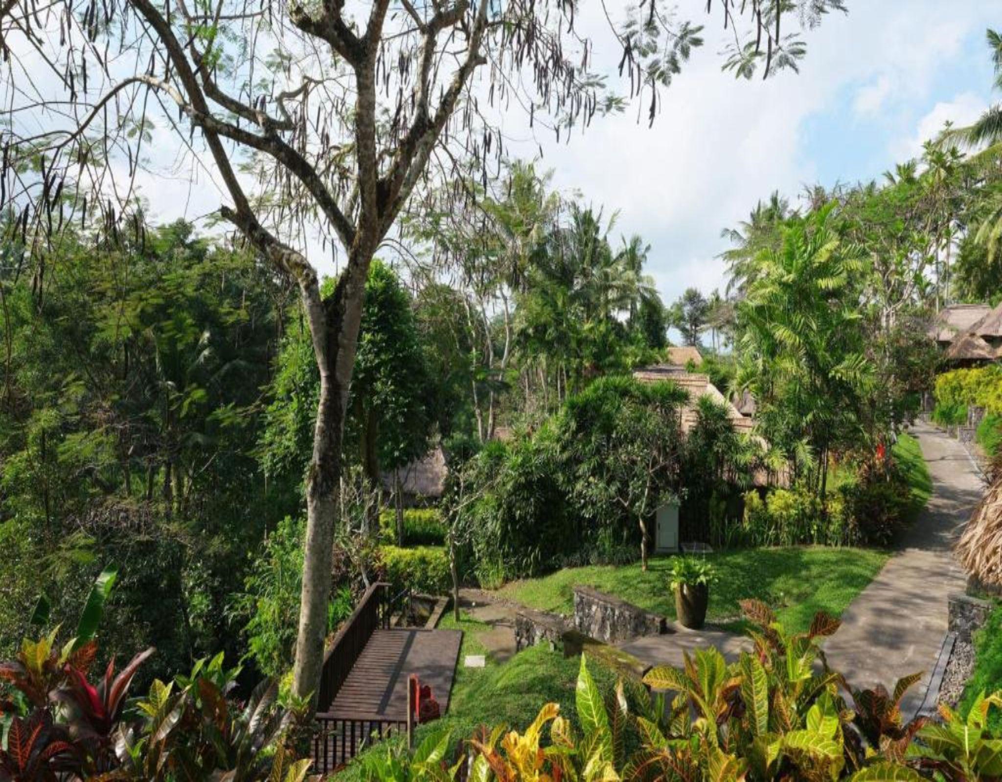 Maya & 5* Ubud